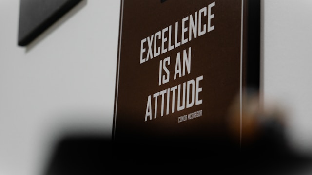 A printed and framed print is mounted on the wall. The text on the print reads: "Excellence is an attitude - Conor McGregor".